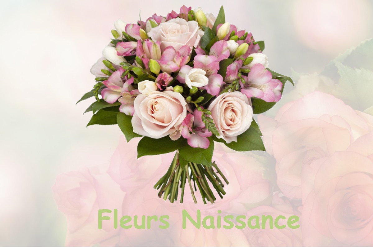 fleurs naissance LEGUILLAC-DE-L-AUCHE